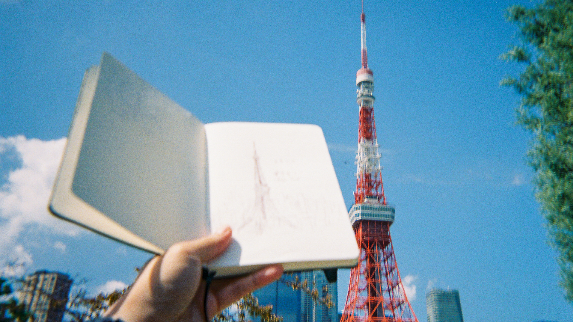 Sustainability Commitment